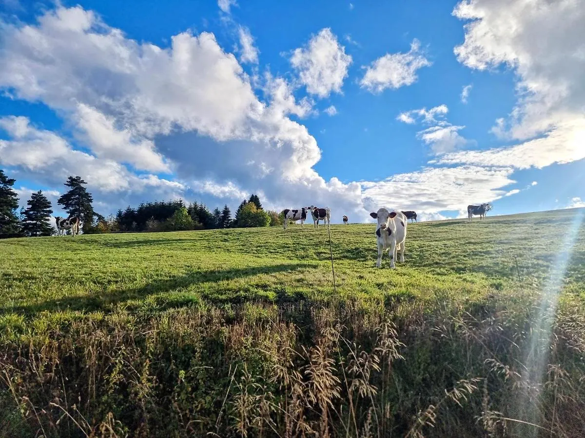 Vakantiehuis Gite La Menou Usson-en-Forez